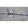 Galvanized Barbed Wire for Security Fence